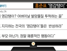 [이댓글봤어?] 홍준표 ‘영감탱이’ 발언에 “어버이날 발암물질 투척한 꼴”