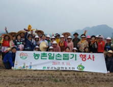 대구 성서농협, 자매결연 마을 일손돕기 봉사활동