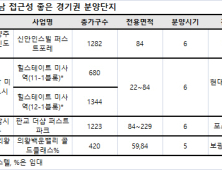 강남 접근성 앞세운 수도권 신도시 분양 '활발'