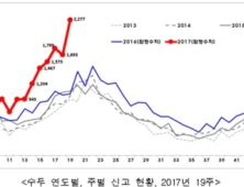 의사들의 안아키 반대, 왜?