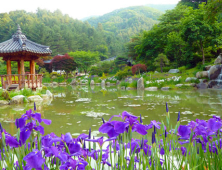 아침고요수목원 3일부터 수국전시회 실시