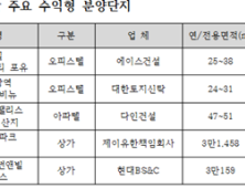 6·19 규제 빗겨간 오피스텔 '풍선효과'