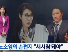 노소영 아트센터 나비 관장, 남편 최태원 SK 회장 사면 반대 편지 작성