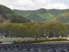 진안군 하초마을숲, 국가산림문화자산 지정