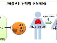 서수길 교수팀, 염증부위 선택적 면역억제기법 개발