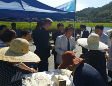 ‘막걸리 전용 쌀’ 남해군서 시범 재배…수확량 최고 품종