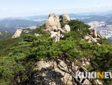 [순간 포착] 도봉산 와이(Y) 계곡 정상