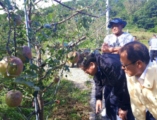 여영현 경북농협 본부장 우박 피해 농가 '피해 상황' 검검