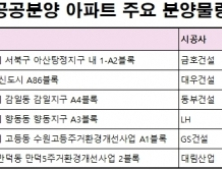 연말까지 공공분양 아파트 7000여가구 공급