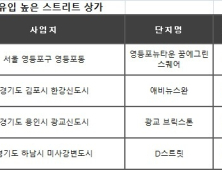 샤로수길, 망리단길 등 길 따라 형성된 스트리트형 상가 '인기'