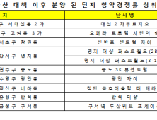 8·2 대책 이후 최고 청약경쟁률 10곳 중 8곳 '비규제 지역'