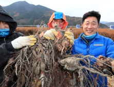 [포토뉴스] 지리산 산청 ‘하수오’ 수확…“노화예방 효과”