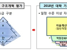 대학구조개혁, 역량진단으로 전환… “정원감축 권고 2만명 이내”