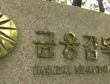 금융감독원, 건전성·영업행위 감독 확대 소비자보호 강화