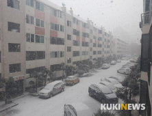 [종합]경남 하동 8.1㎝ 적설량…도로 통제 구간 늘어