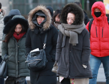 강추위에 꽁꽁 싸맨 시민들