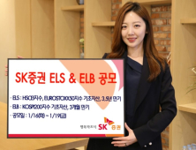 [금융 이모저모] SK證, 3.5년 만기 ELS 등 2종 공모 外 하이투자證