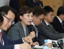 김현미 