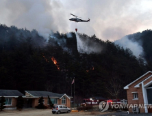 산림청, 삼척 산불 진화에 총력