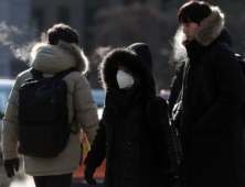 [오늘날씨] 전국 대체로 맑지만 일교차 커… 서울 영하 2도