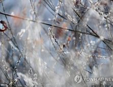 [오늘 날씨] ‘서울 7도·부산 14도’ 흐리지만 포근…미세먼지 주의해야