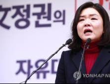 류여해, ‘명예훼손·모욕’ 혐의로 홍준표 추가 고소