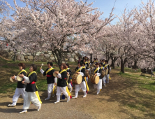 사천시 용현면, ‘제2회 선진리성 벚꽃축제’ 4월 8일 개최