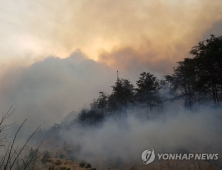 강원 고성 산불 강풍 타고 확산…주민 400여명 대피·7번 국도 일부 통제