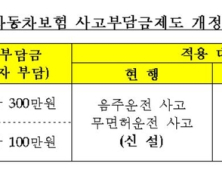 뺑소니 운전자 사고부담금 물린다…자동차보험 약관 개정 추진