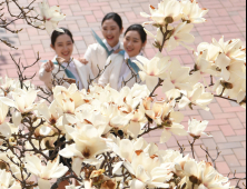 [오늘의 날씨] 대구·경북 맑고 초여름 날씨… 주 후반 기온 뚝