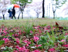 [오늘날씨] 식목일 전국 ‘비소식’…미세먼지 ‘좋음’