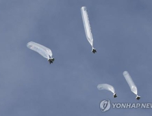 정부 “대북전단 살포, ‘판문점 선언’ 위반…즉각 중단 촉구”