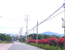 함양군, 대표관광지 상림공원 ‘전주 없애기’ 나서