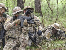 을지훈련 ‘잠정 유예’…한국군 단독훈련은 하반기 실시