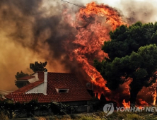 [영상] ‘그리스 산불’ 사망자 74명으로 늘어…“한국민 피해 확인 안 돼”