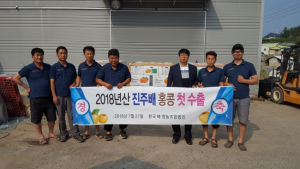 올해 첫 생산 ‘진주배’, 홍콩으로 수출