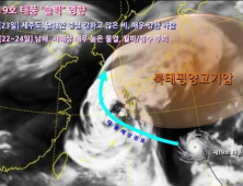 태풍 '솔릭' 한반도 관통할 듯…22일 제주도부터 전국 비 예상