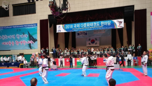 양평군, 2018 국제 다문화태권도 한마당대회 개최