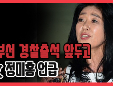 [쿠키영상] 김부선 경찰출석 앞두고 故 정미홍 언급 