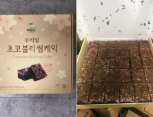 초코케이크 집단 식중독, 원인균은 일반 살모넬라균 맞다