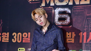 ‘방북단 포함’ 에일리·지코 “영광으로 생각…소임 다할 것”