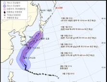 제24호 태풍 ‘짜미’, 일본 향해 북상 중…초속 40m 강풍에 ‘비상’