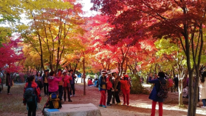 ‘제33회 소요단풍문화제’, 27일 동두천 소요산 일원서 개최