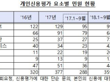 금감원, 개인신용평가 관련 민원 3년새 1000건 넘어…매년 증가 추세