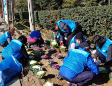 포항 제철동행정복지센터, 도로변 화단에 꽃양배추 심어