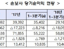 손보사, 9월 누적 순이익 2조9000억원…전년比 17.6%↓