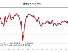 ‘경제비관론’ 커졌나…경제심리지수 두달 연속 하락