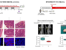 항암제도 못 잡는 암줄기세포, ‘구충제’로?