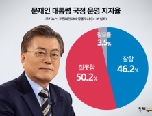 문 대통령 국정지지율 46.2% 여당 지지율 32.9%