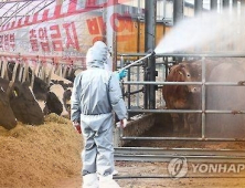 구제역 발생, 경기‧충남‧충북‧세종‧대전 29일 20시30분까지 이동중지명령